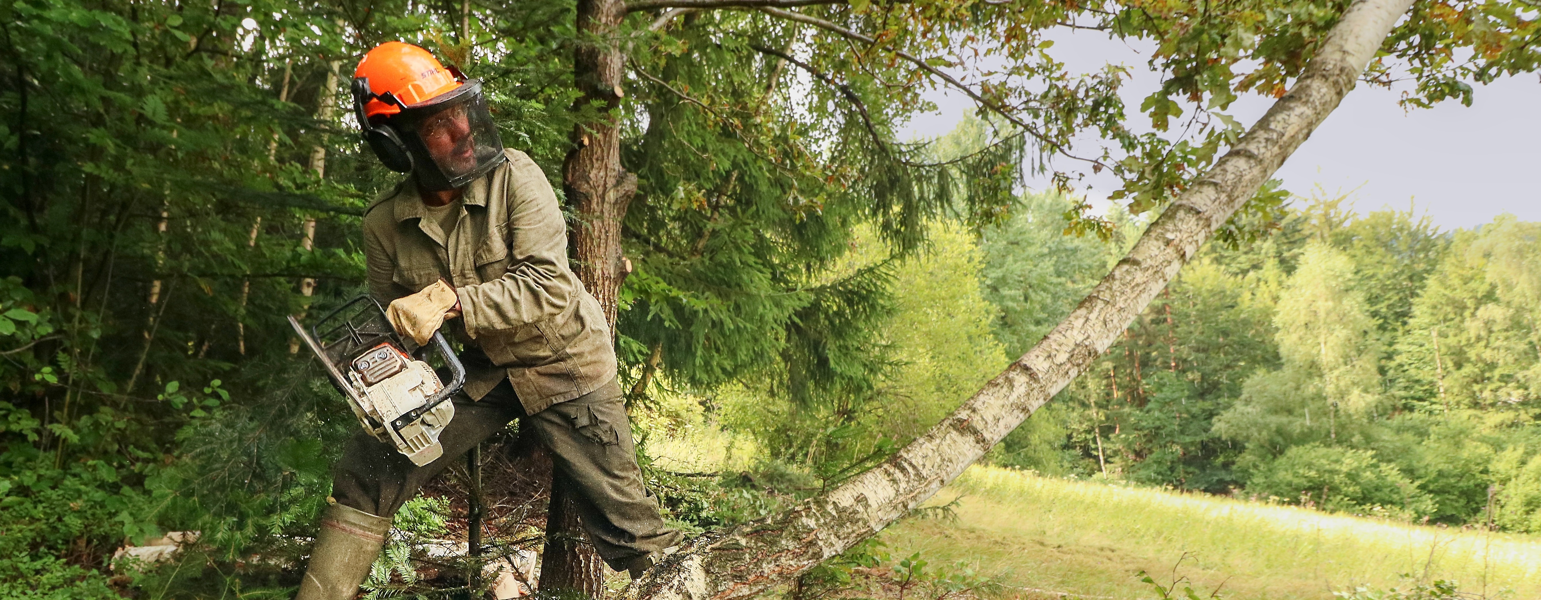 kácení, František Jaskula