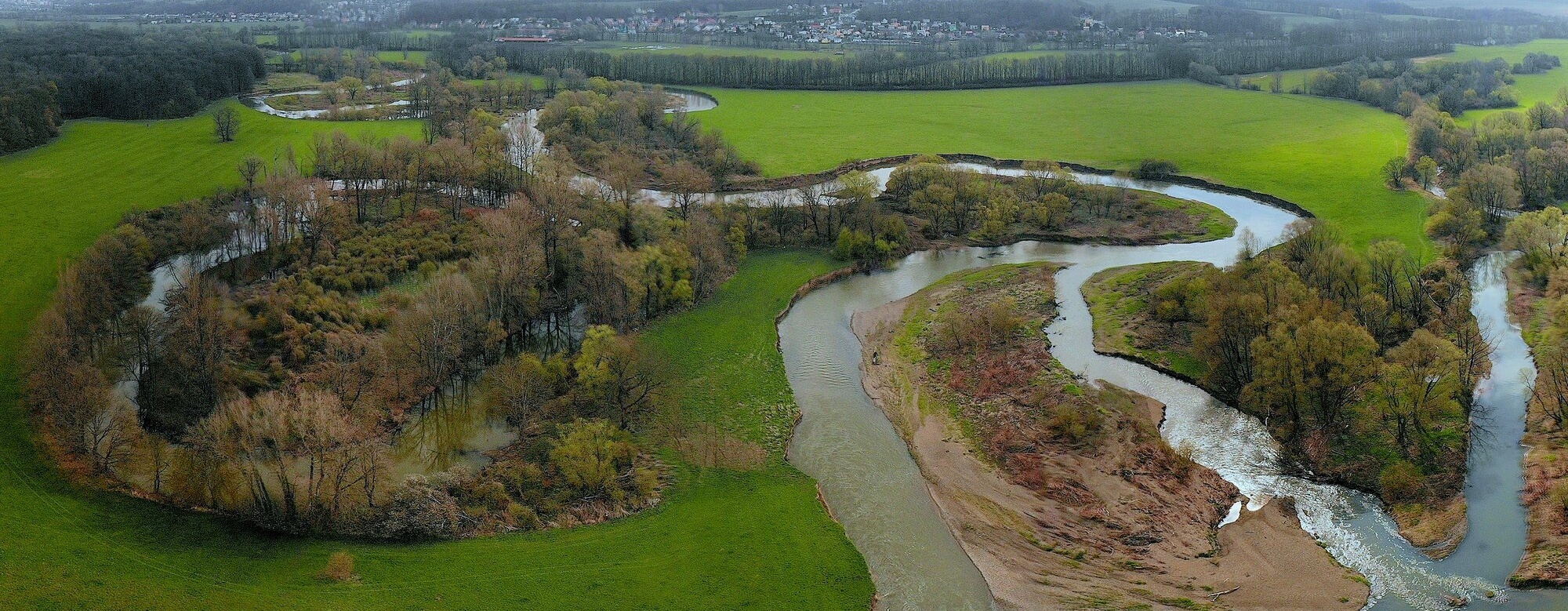 Odra v NPR Polanská niva, foto: Zbyněk Sovík