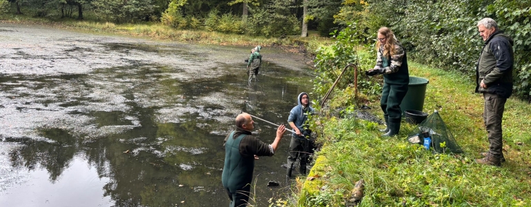 Výlov střevlí a slunek z rybníka u Starých Hutí