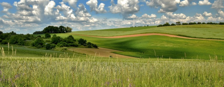 Krajina NPR Křéby.