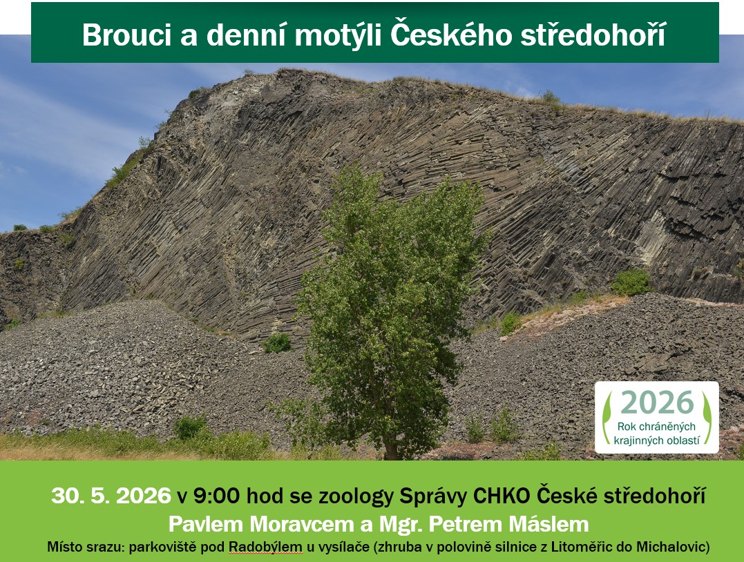 Brouci a denní motýli Českého středohoří