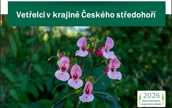 Vetřelci v naší krajině: exkurze za invazními druhy