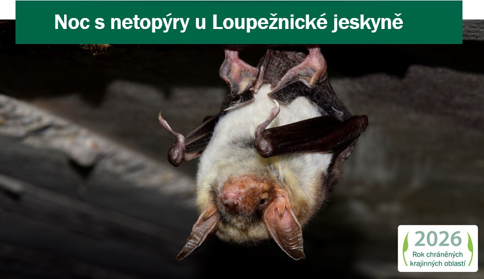 Úvodní foto