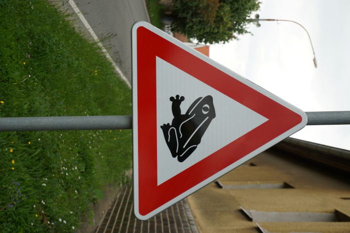 značka pozor žáby