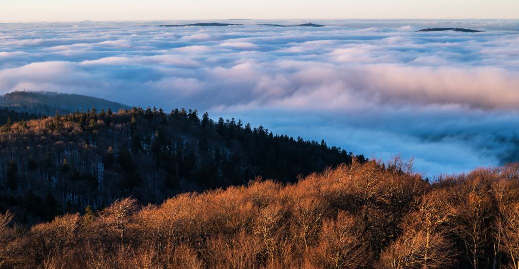Inverze nad Českým lesem.