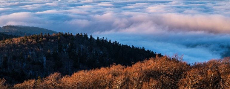 Inverze nad Českým lesem - z rozhledny na Čerchově.