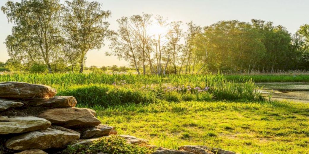 Lužické ozvěny EKOFILMu