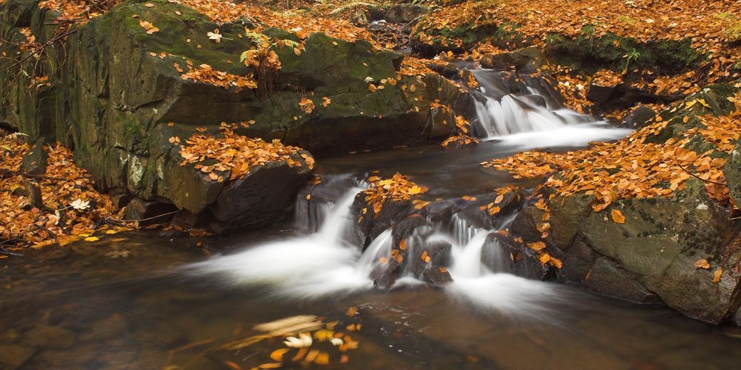 Hamerský potok (foto: Martin Waldhauser)