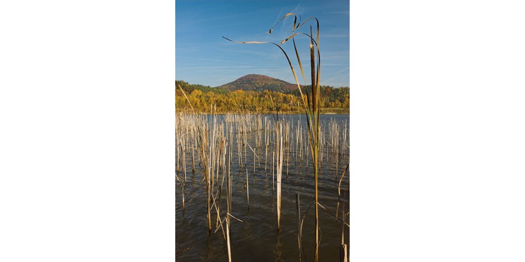 Kunratický rybník a Jezevčí vrch (foto: Martin Waldhauser)