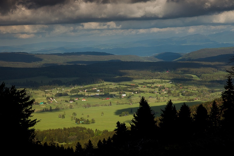 Pohled do údolí Divoké orlice v okolí Trčkova.