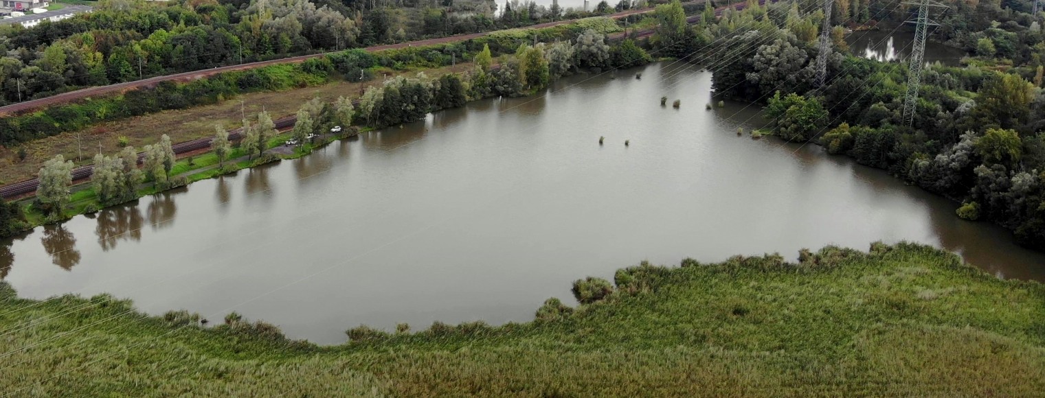 Nový rybník.