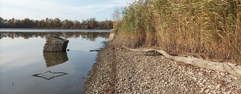 rybnik celek