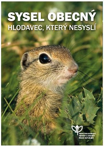 Leták sysl obecný.