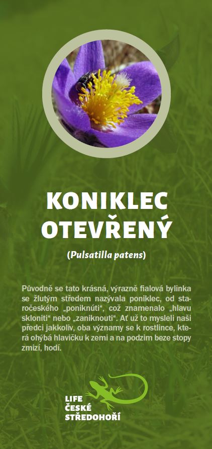 Leták Koniklece otevřeného.